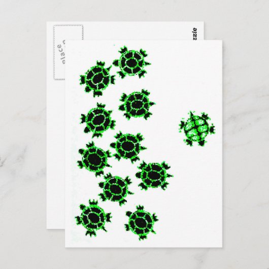 カメ ポストカード (正面/裏面)