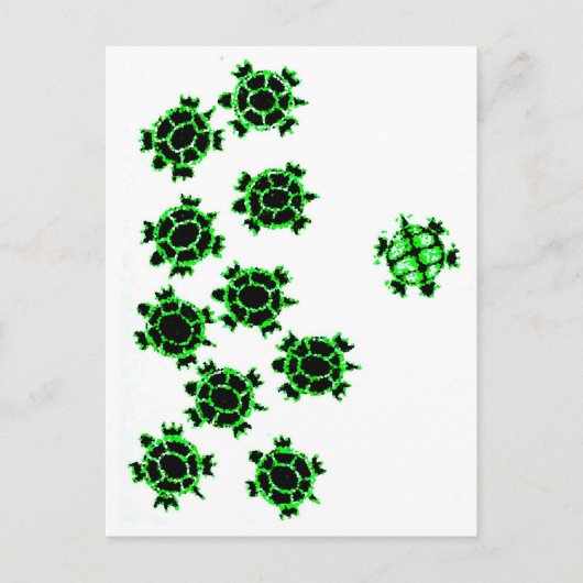 カメ ポストカード (正面)