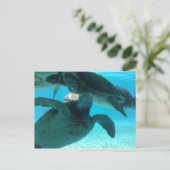 カメ ポストカード (スタンド正面)