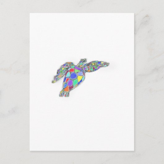 カメ ポストカード (正面)