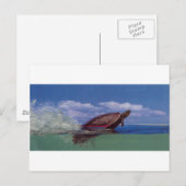 カメ ポストカード (正面/裏面)