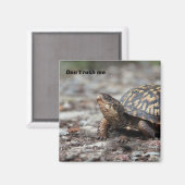 カメ マグネット (正面/裏面)