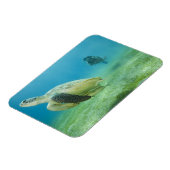 カメ マグネット (左側)