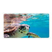 カメ ラベル (正面)