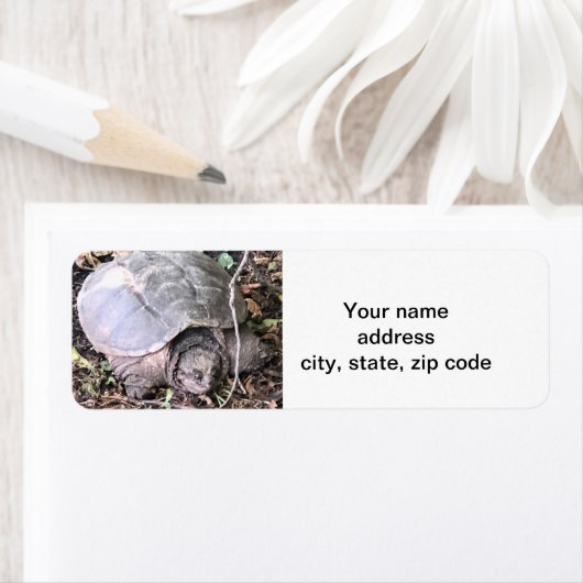 カメ ラベル (インサイチュ)