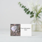 カメ 名刺 (スタンド正面)