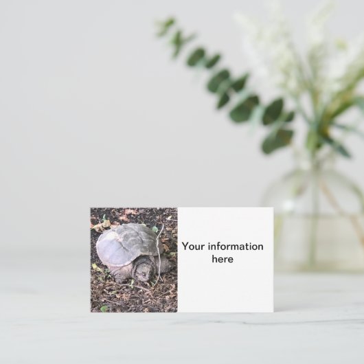 カメ 名刺 (スタンド正面)