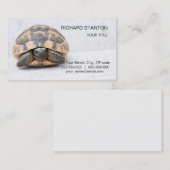 カメ 名刺 (正面/裏面)