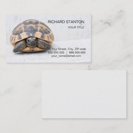 カメ 名刺 (正面/裏面)