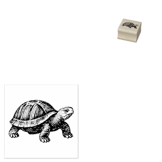 カメ 生物 爬虫類 ラバースタンプ (押印)