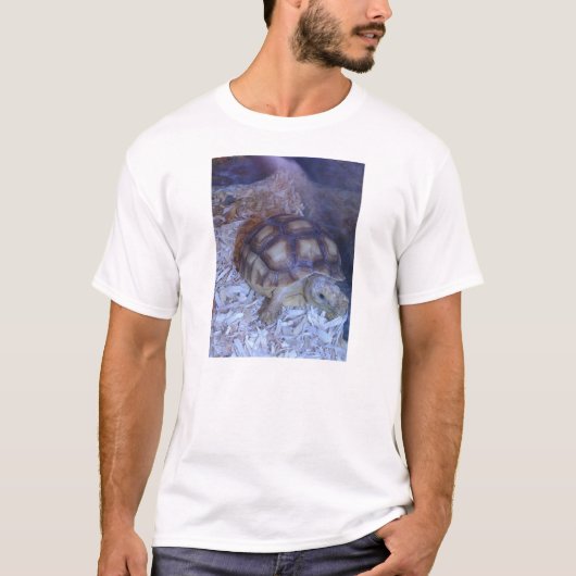 カメ Tシャツ (正面)