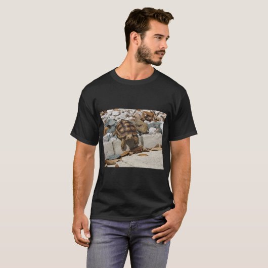 カメ Tシャツ (正面フル)