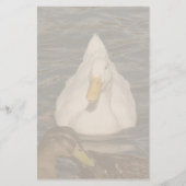 カモの文房具 便箋 (正面)