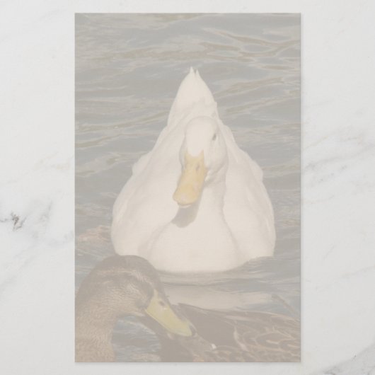 カモの文房具 便箋 (正面)