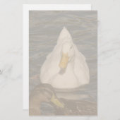 カモの文房具 便箋 (正面/裏面)