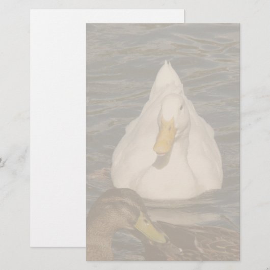 カモの文房具 便箋 (正面/裏面)