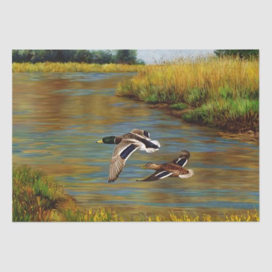 カモの飛ぶ鳥 薄葉紙 (正面)