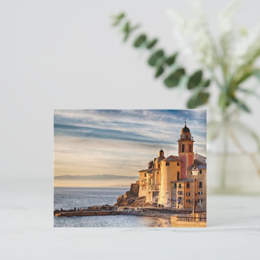 カモグリ，イタリア カード (スタンド正面)