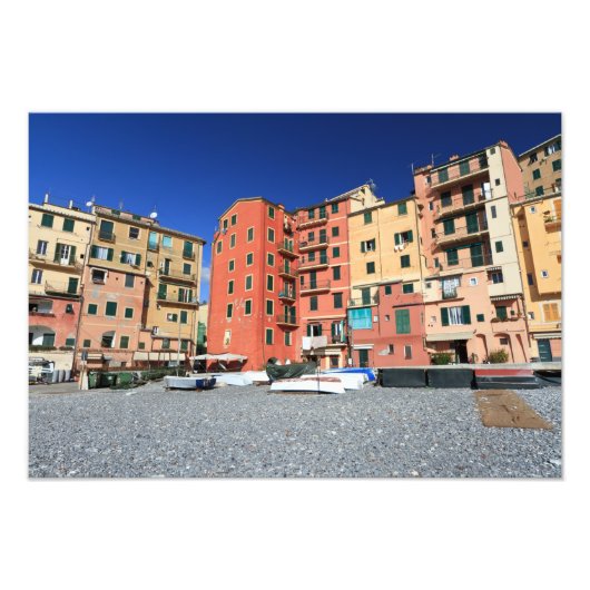 カモグリ，イタリア フォトプリント            (正面)