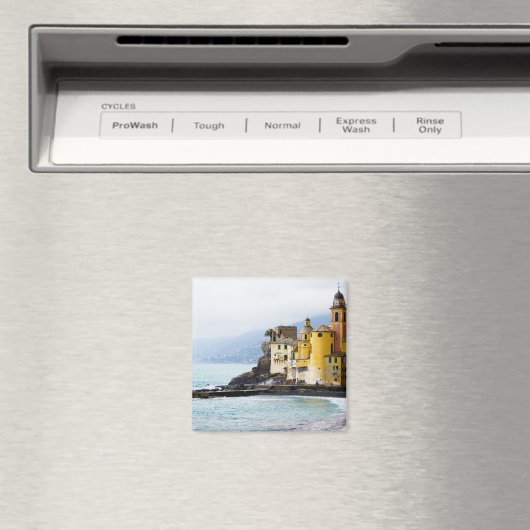 カモグリ，イタリア マグネット (インサイチュ (食洗機))