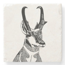 カモシカのコースター