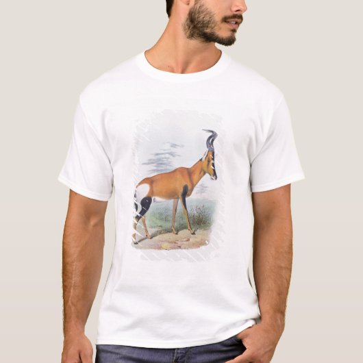 「カモシカの本」からのカモシカ、 Tシャツ (正面)
