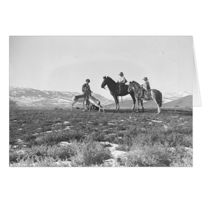 カモシカをかわいがること (正面横)