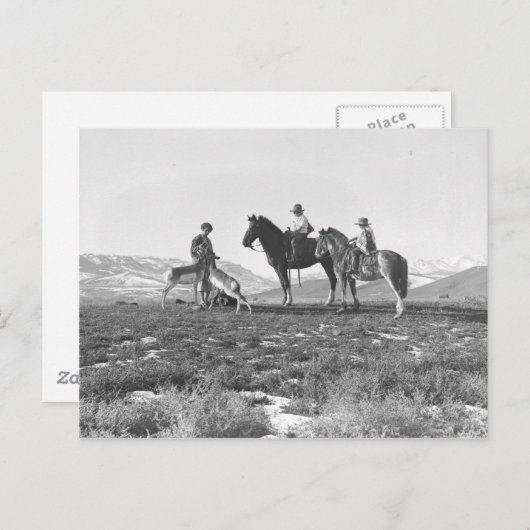 カモシカをかわいがること ポストカード (正面/裏面)