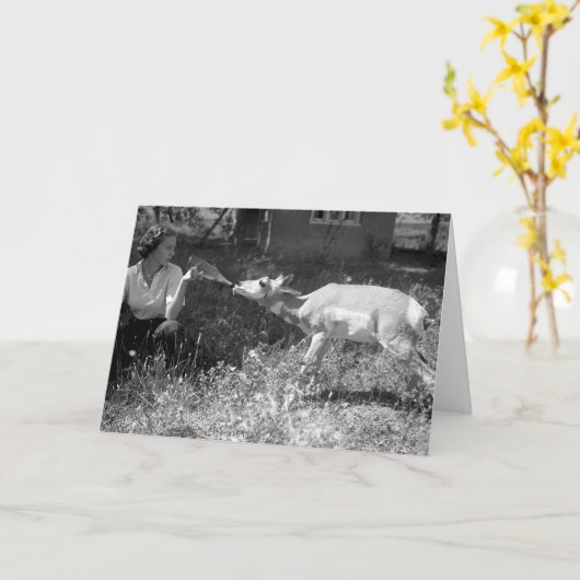 カモシカをボトル食べ物を与えている女性 カード (黄色い花)