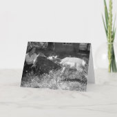 カモシカをボトル食べ物を与えている女性 カード (正面)