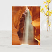 カモシカ渓谷 カード (黄色い花)