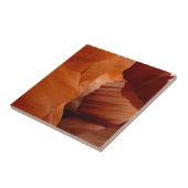 カモシカ渓谷 タイル (側面)