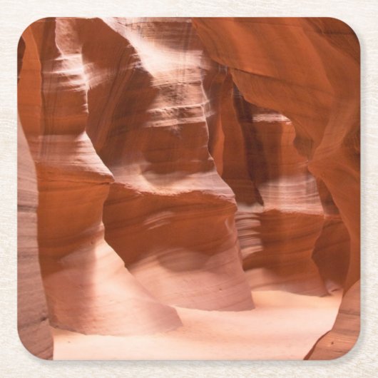 カモシカ渓谷、自然にLit スクエアペーパーコースター (正面)