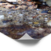 カモフラゴートワド ポスター (角)