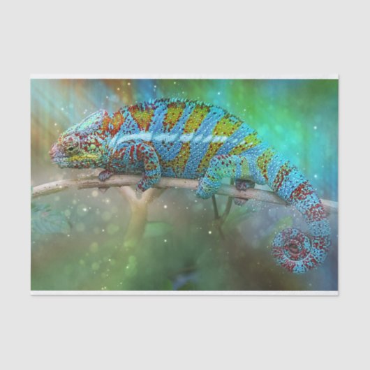 カモフラージトカゲティッシュペーパー 薄葉紙 (正面)