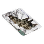 カモフラージムース（カモース） マグネット (右側)