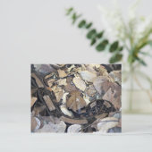 カモフラージュのヘビ ポストカード (スタンド正面)