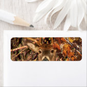 カモフラージュの白い尾の鹿でバック ラベル (インサイチュ)