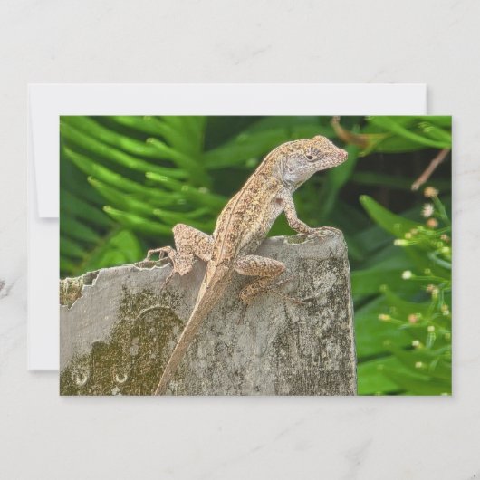 カモフラージュの達人 ノートカード (正面)