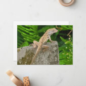 カモフラージュの達人 ノートカード (正面/裏面インサイチュ)