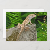 カモフラージュの達人 ノートカード (正面/裏面)