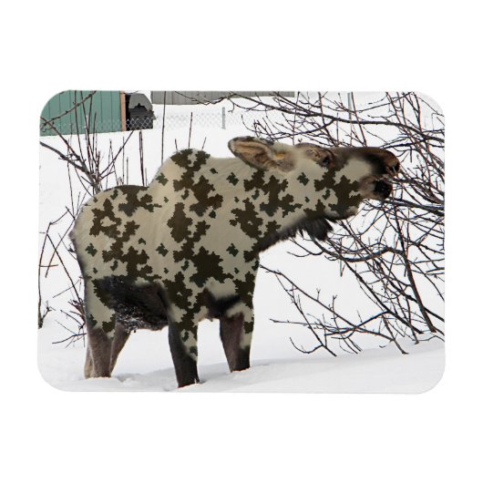 カモフラージュムース マグネット (横)