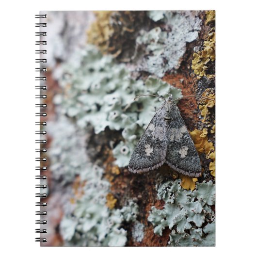 カモフラージュLichen Moth Notebook ノートブック (正面)