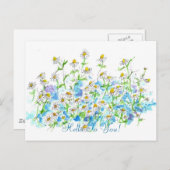 カモミールデイジーガーデンハロートゥ ポストカード (正面/裏面)