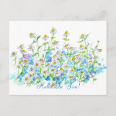 カモミールデイジーガーデンハロートゥ ポストカード (正面)