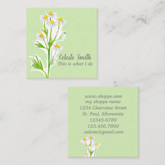 カモミールフラワーハーブプラントイラストレーショングリーン スクエア名刺 (正面/裏面)
