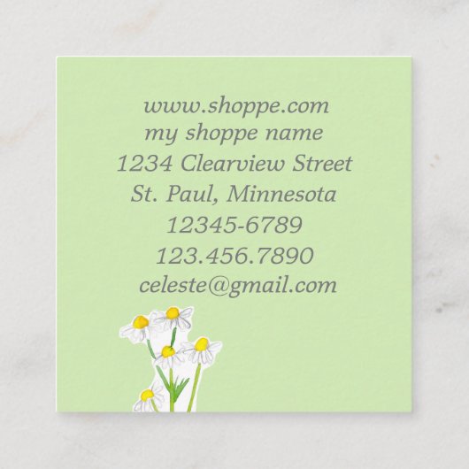 カモミールフラワーハーブプラントイラストレーショングリーン スクエア名刺 (裏面)