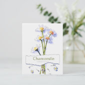 カモミールヴィンテージ水絵画色のカード (スタンド正面)