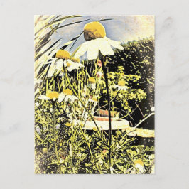 カモミール花(アンティークスタイル)はがき ポストカード