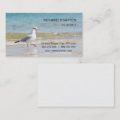カモメおもしろいモ 名刺 (正面/裏面)